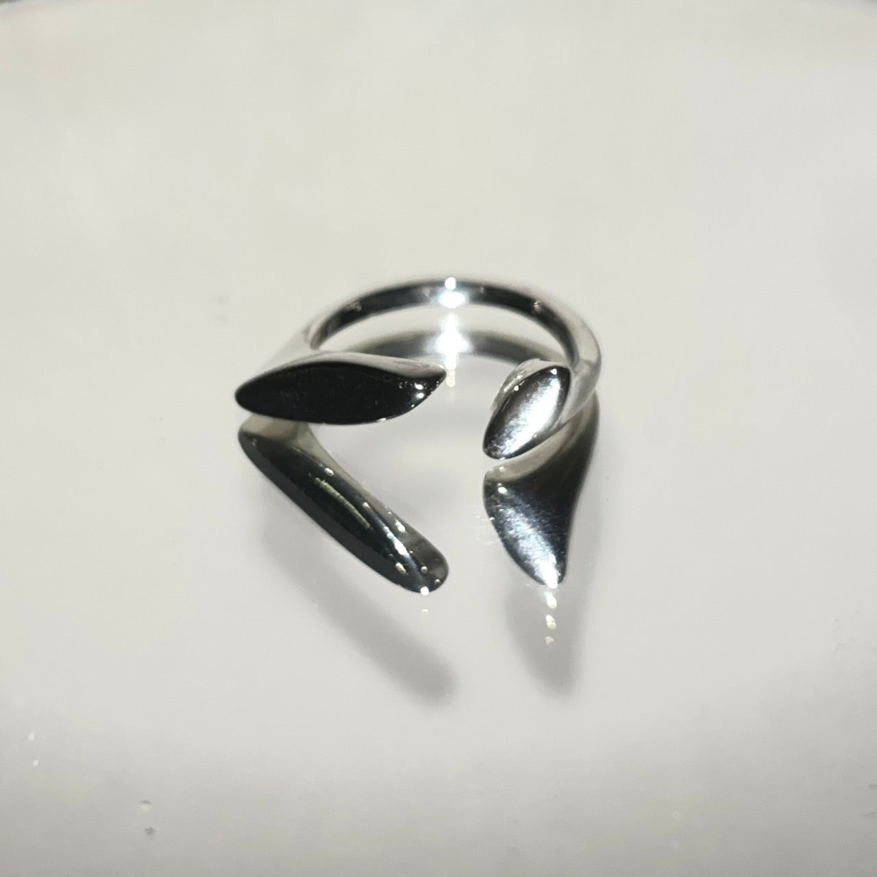 RIG Silver Ring Type04